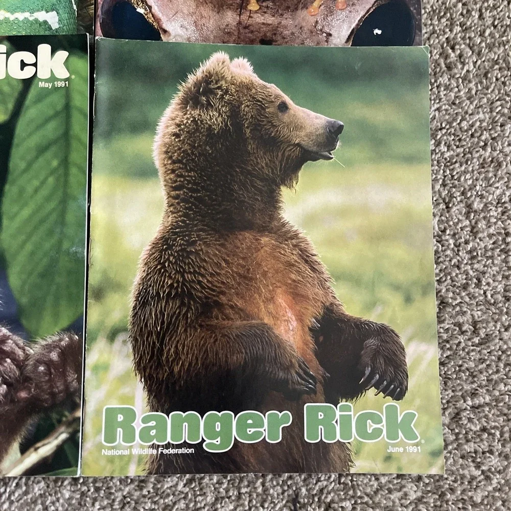 Ranger Rick's Nature Magazine 1991 National Wildlife Kids Vtg Lot Of 12 Complete